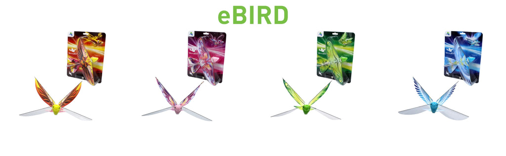 Ebird Self Flying
