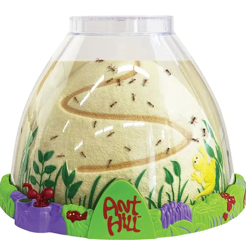 Ant Hill