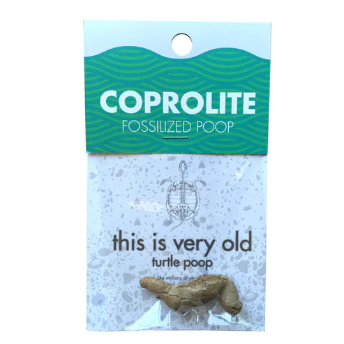 Coprolite Fossil