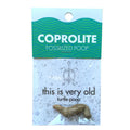 Coprolite Fossil