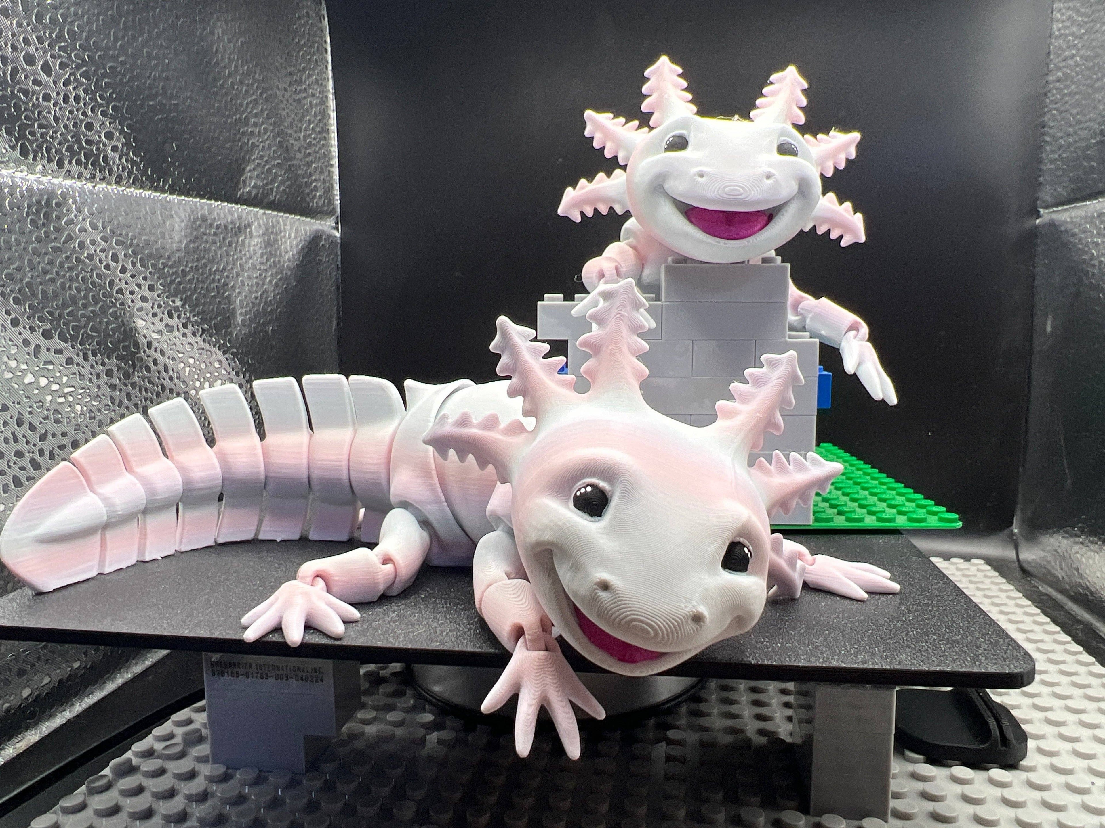 Axolotl Fidget Friend - Includes Play Scene