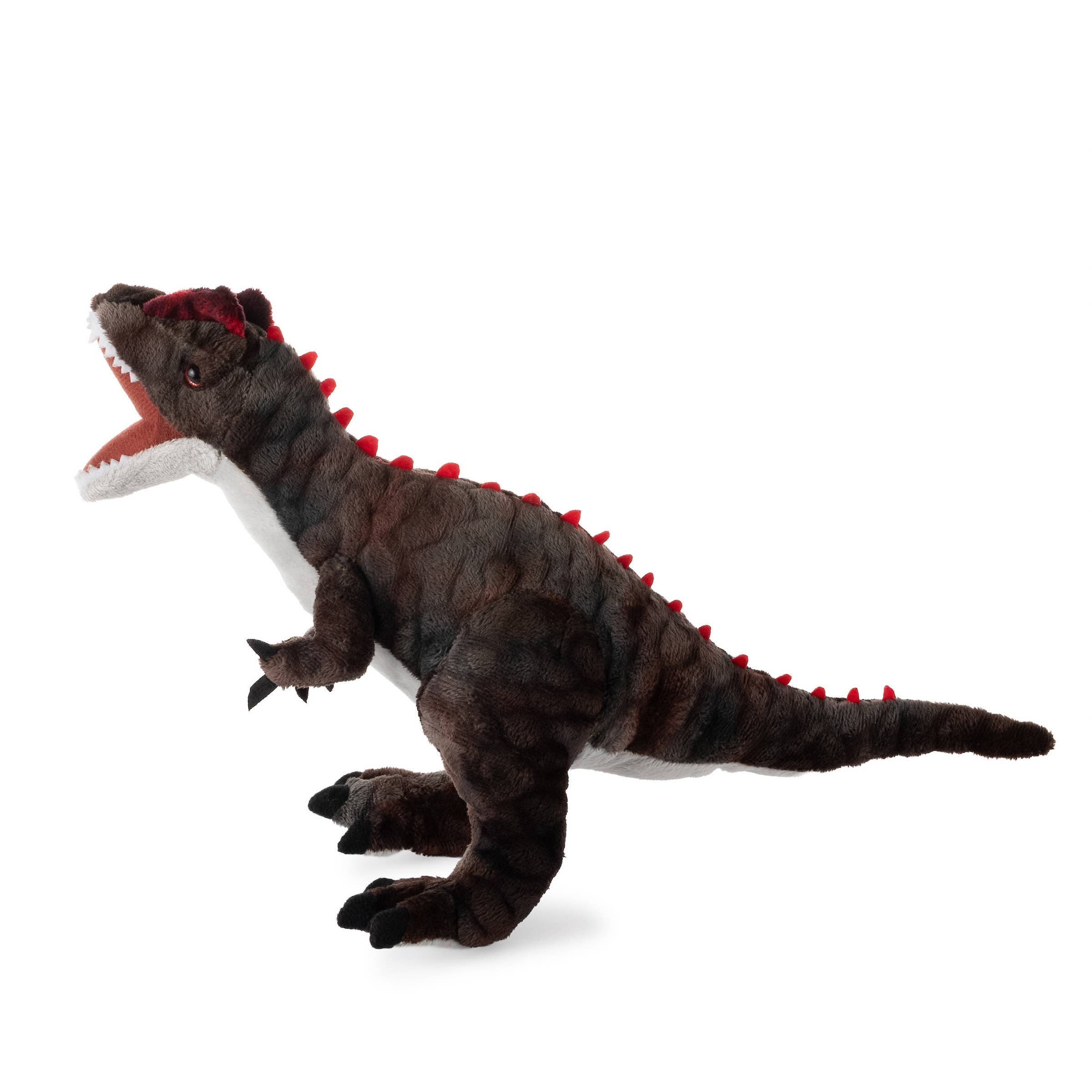 Dino/Dinosaur Allosaurus Small 15" (38cm)