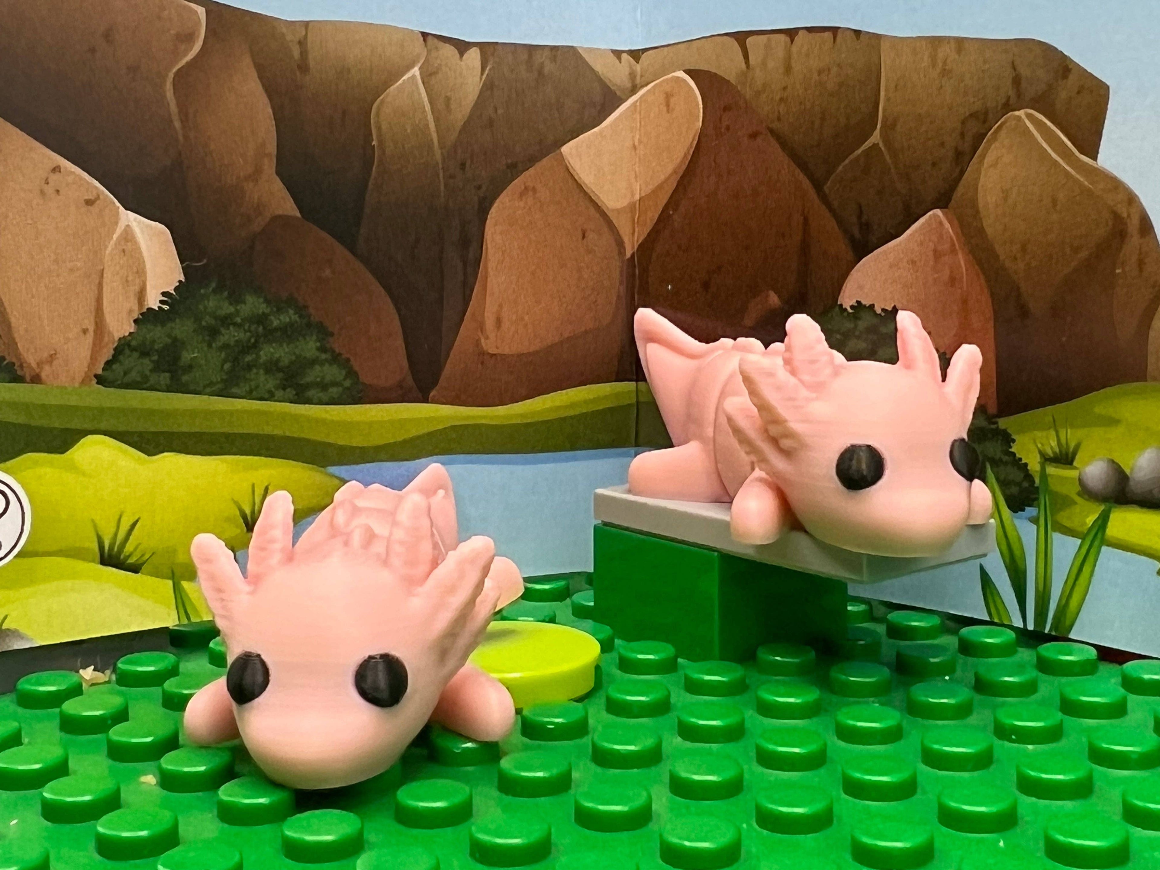 Axolotl Fidget Friend - Includes Play Scene