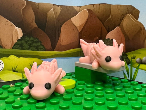 Axolotl Fidget Friend - Includes Play Scene