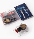 Jitterbug
