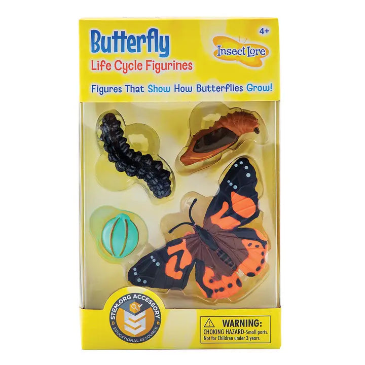 Butterfly Life Cycle Figurines