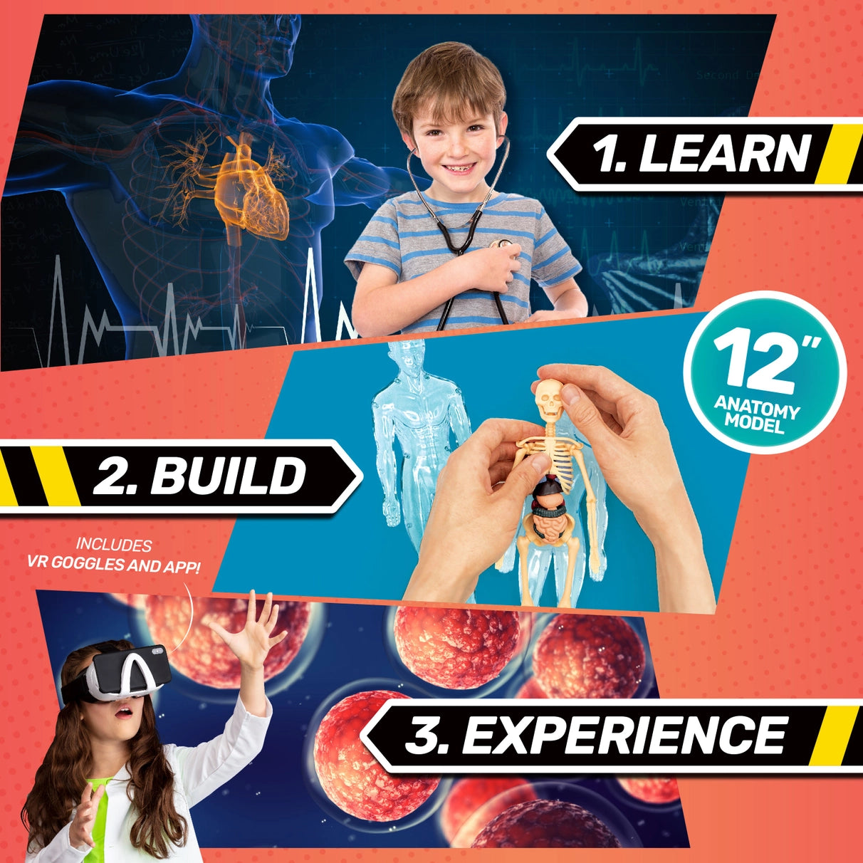 Bill Nye's Body Lab VR