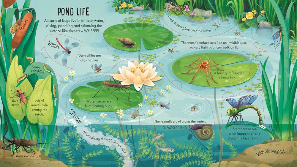 Look Inside Bug World : Usborne