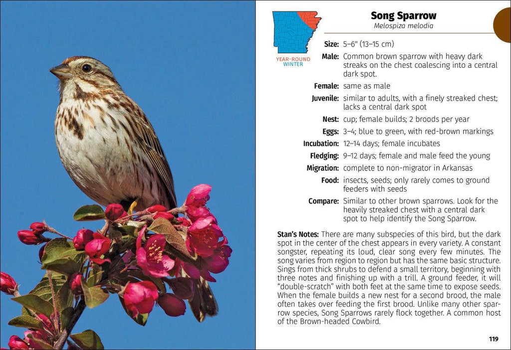Birds of Arkansas Field Guide 2e
