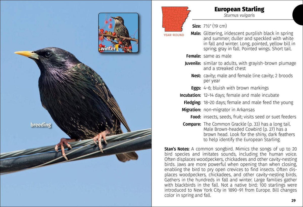 Birds of Arkansas Field Guide 2e