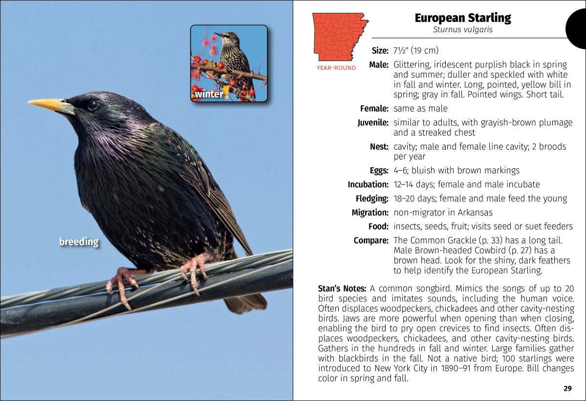 Birds of Arkansas Field Guide 2e