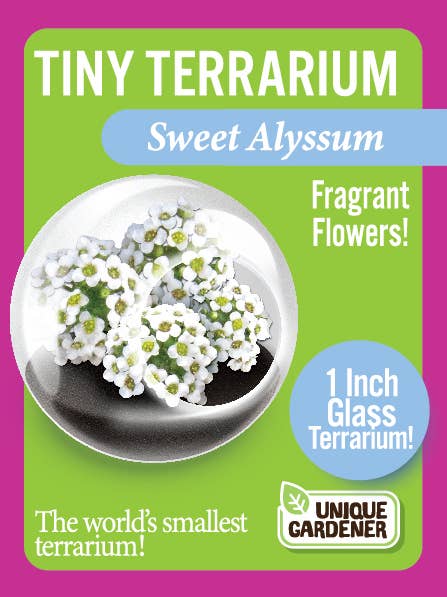 Tiny Terrariums Flowering with 6 Varieties