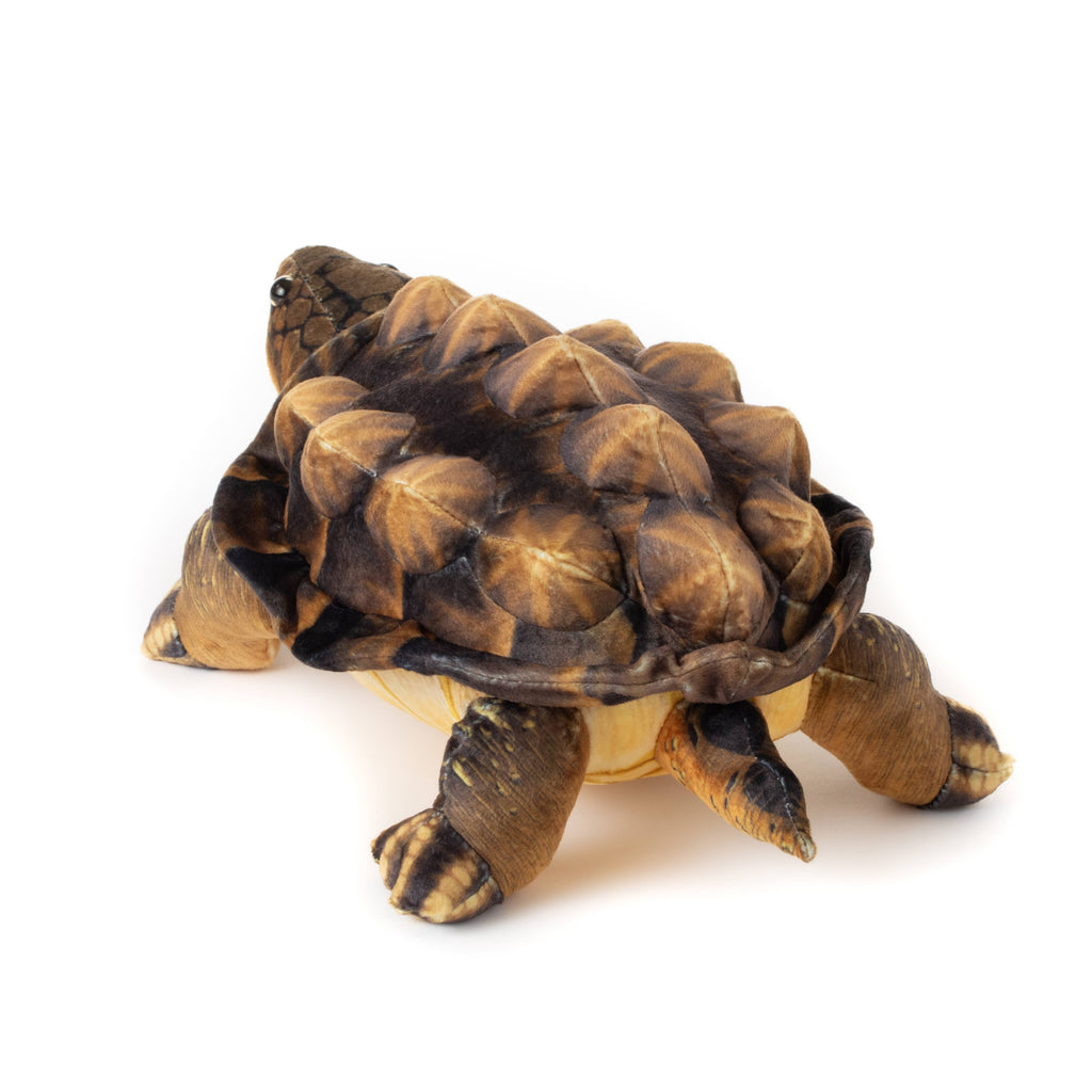 Wild Onez Snapping Turtle 15" (38cm)