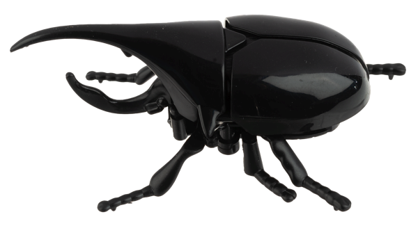 Wind-Up Crawling Beetles