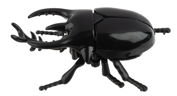Wind-Up Crawling Beetles