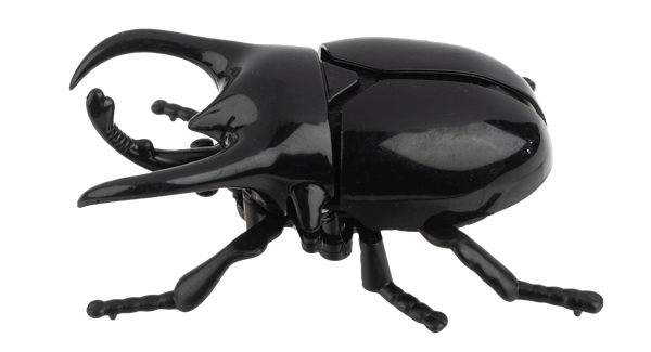 Wind-Up Crawling Beetles