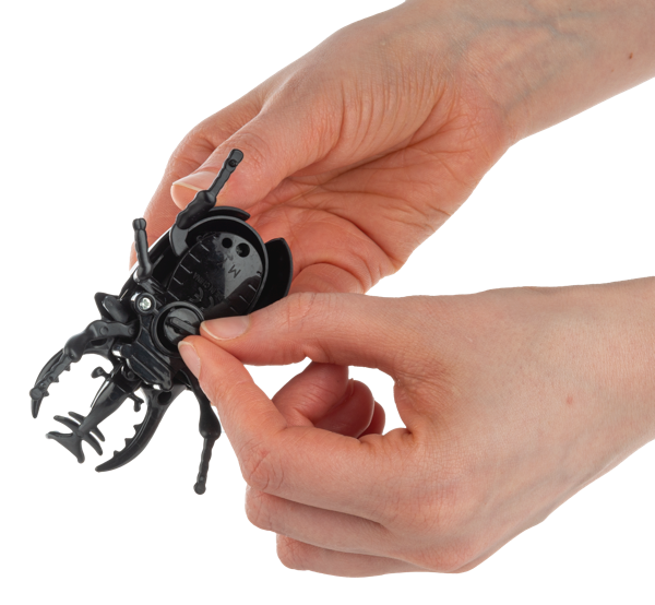 Wind-Up Crawling Beetles