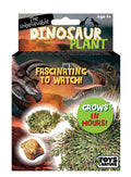 Dinosaur Plant- the Amazing Plant that Grows in Hours