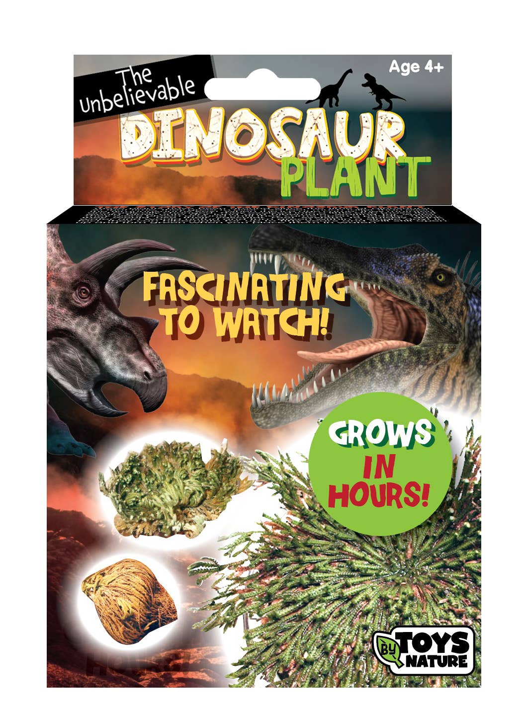 Dinosaur Plant- the Amazing Plant that Grows in Hours