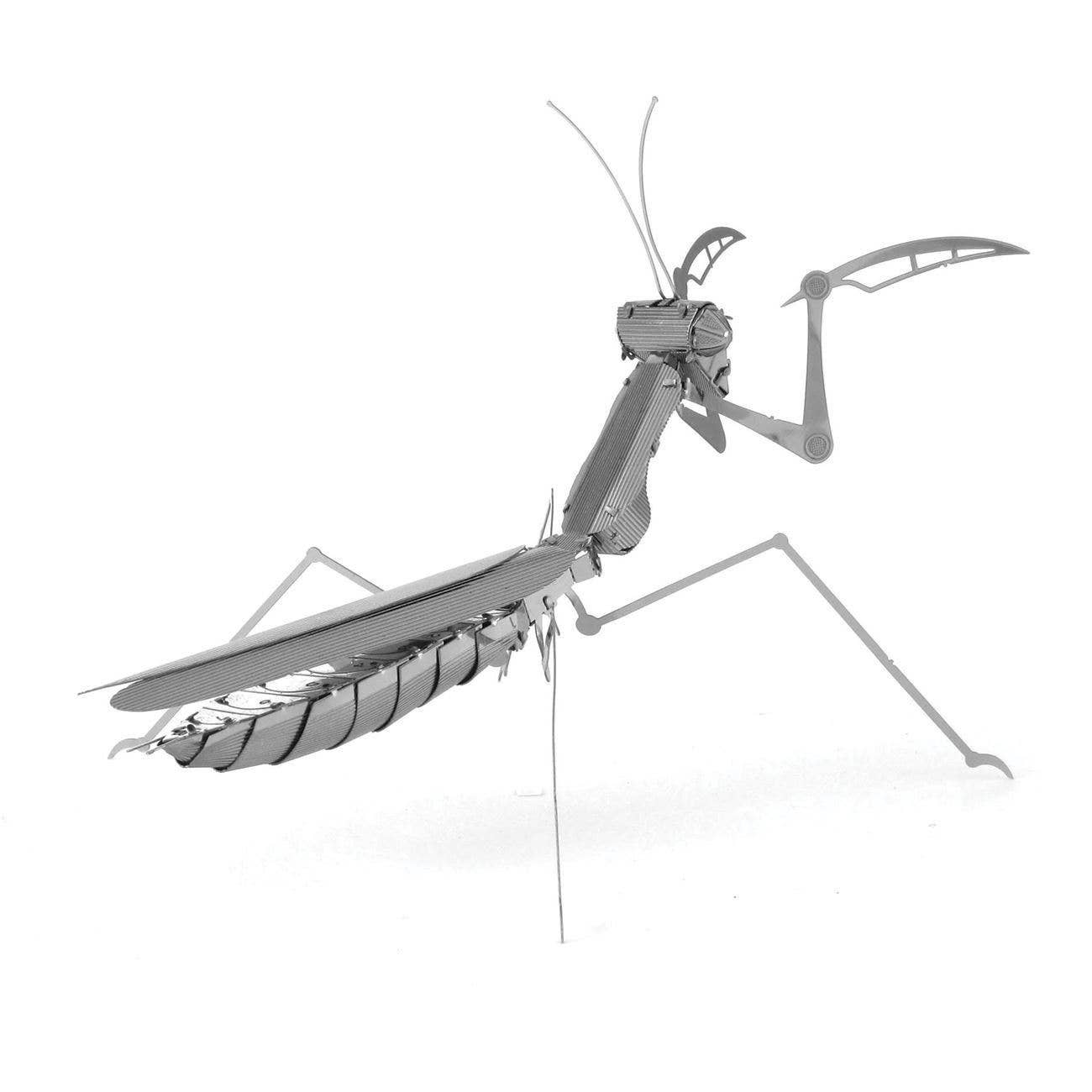Praying Mantis - Metal Earth