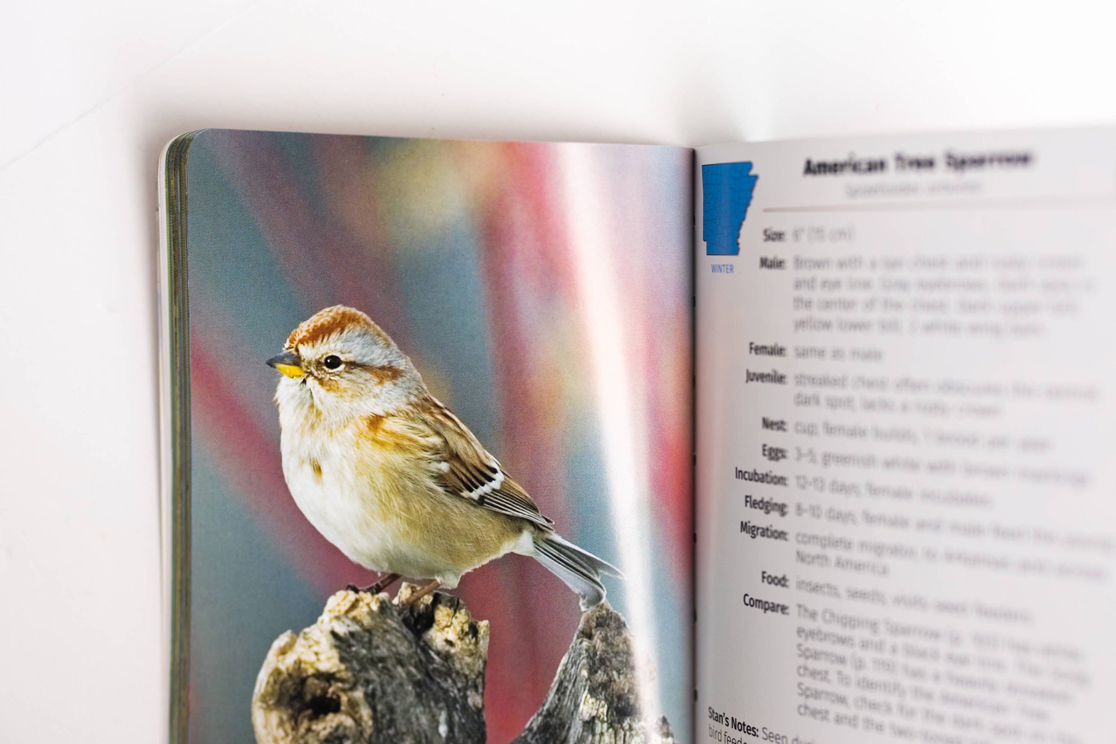 Birds of Arkansas Field Guide 2e