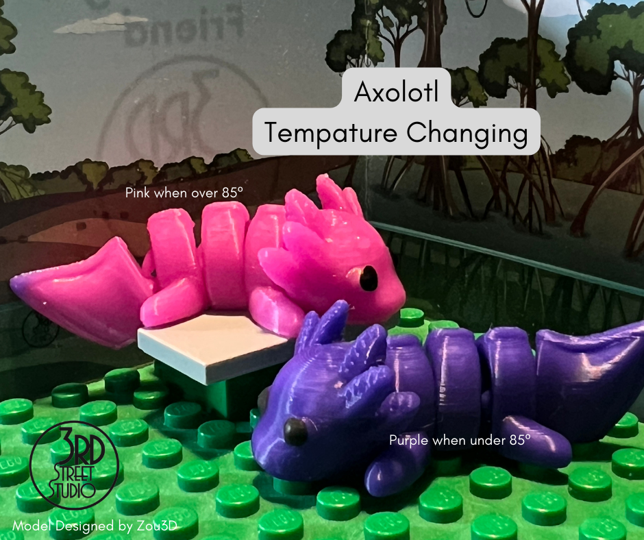 Axolotl Fidget Friend - Includes Play Scene
