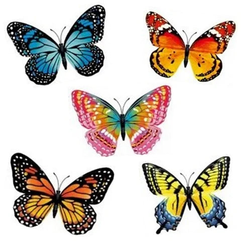 3D Glow-in-the-Dark Butterfly Magnet, Assorted