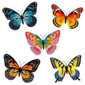 3D Glow-in-the-Dark Butterfly Magnet, Assorted
