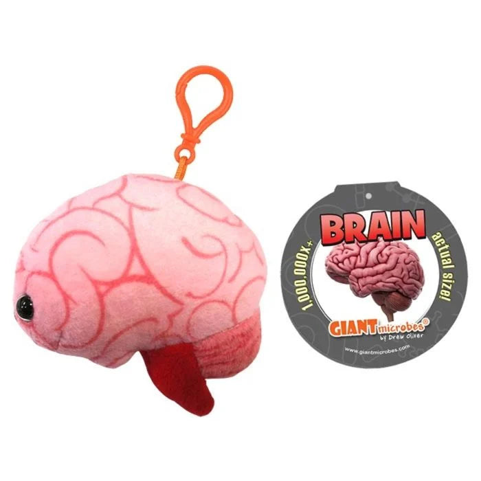 Brain Model Keychain