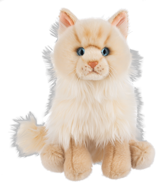 The Heritage Collection: Ragamuffin Cat