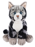 The Heritage Collection: Short Hair Cat