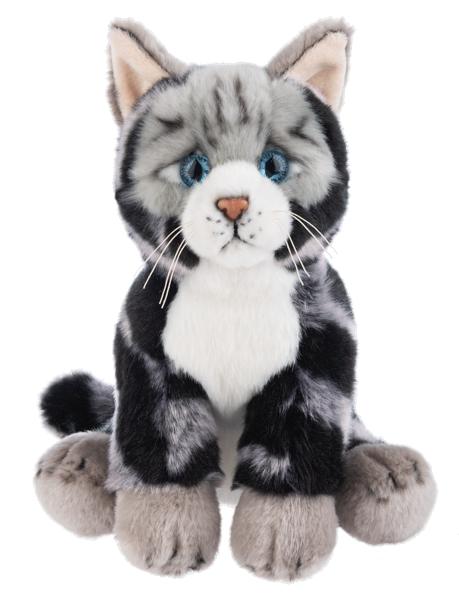 The Heritage Collection: Short Hair Cat