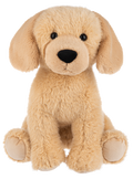 Grizzle Golden Retriever