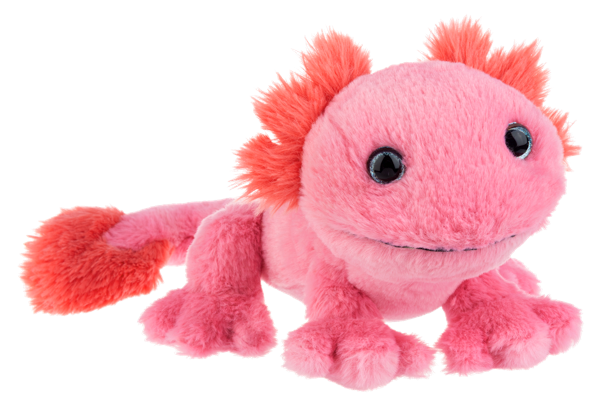 Pinkachu Axolotl