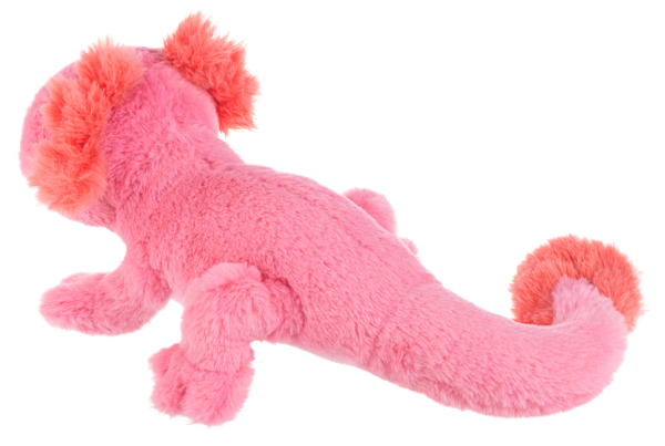 Pinkachu Axolotl