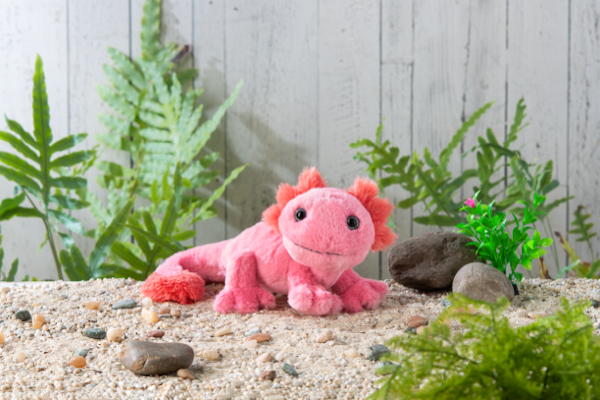Pinkachu Axolotl