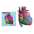 Heart Model
