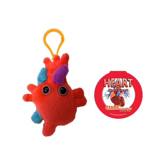 Heart Organ Keychain