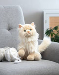 The Heritage Collection: Ragamuffin Cat
