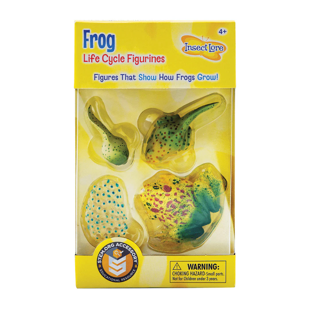 Frog Life Cycle Figurines