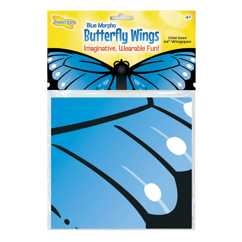 Butterfly Wings