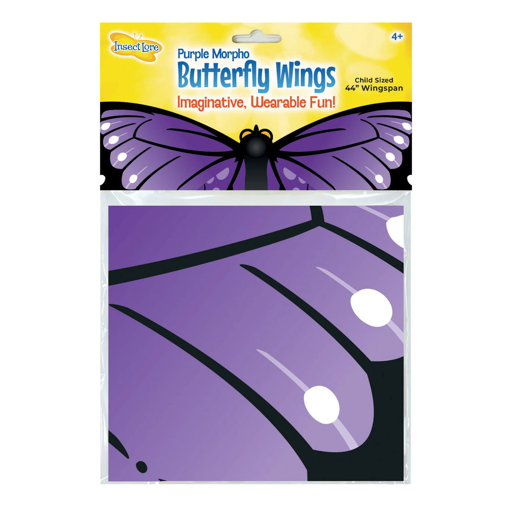 Butterfly Wings