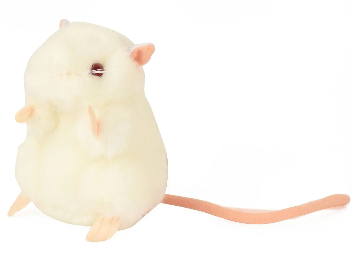 White Lab Mouse