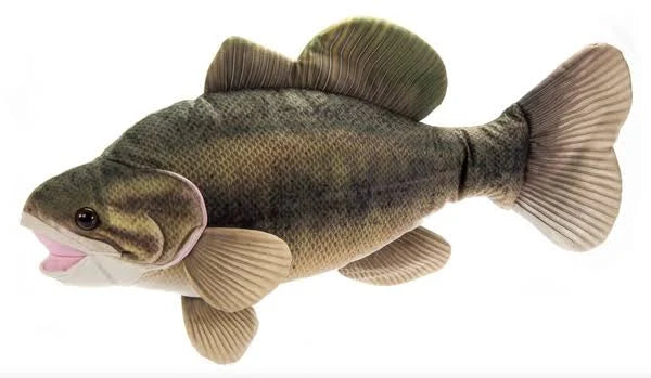 River Fish Large Mouth Bass
