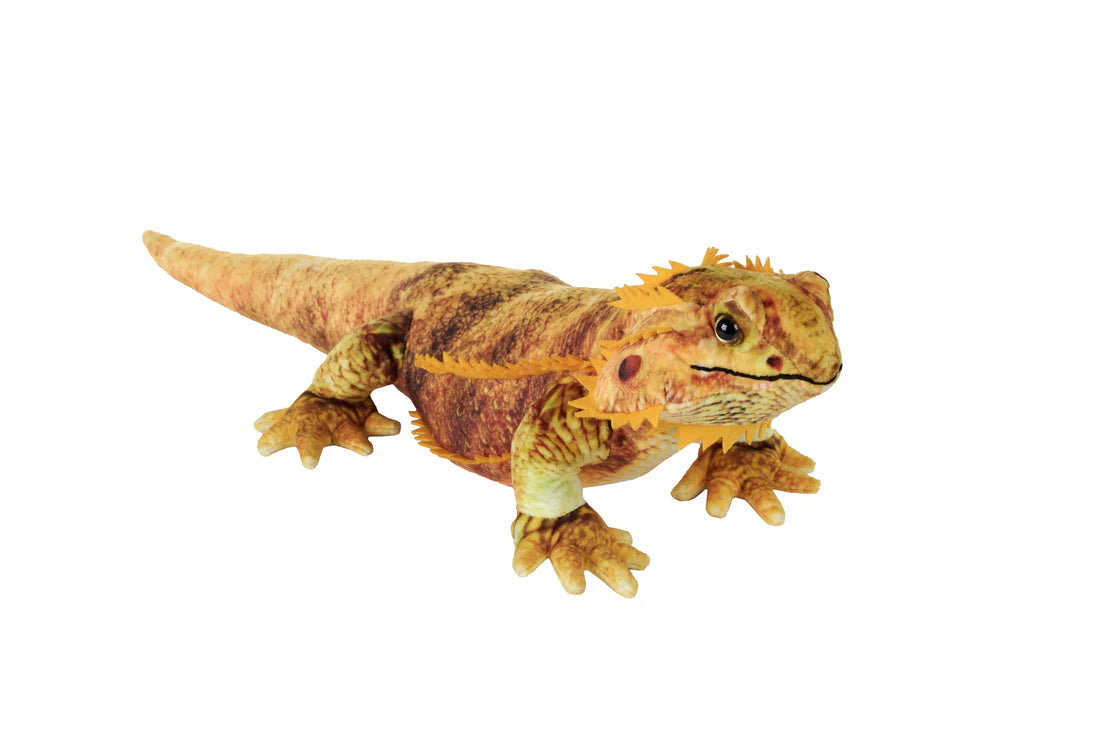 Living Earth Bearded Dragon