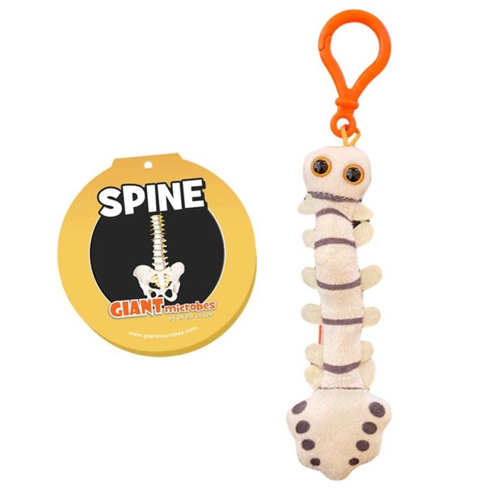 Spine key chain