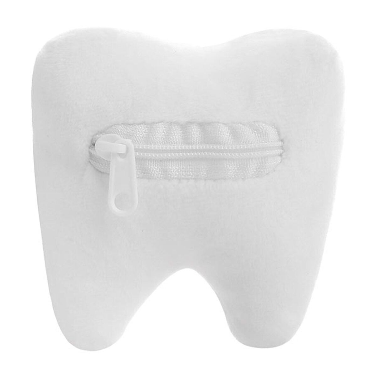 Tooth (Molar)