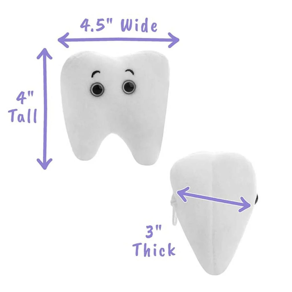 Tooth (Molar)