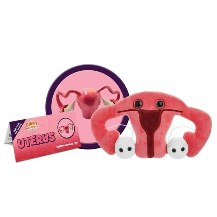 Uterus