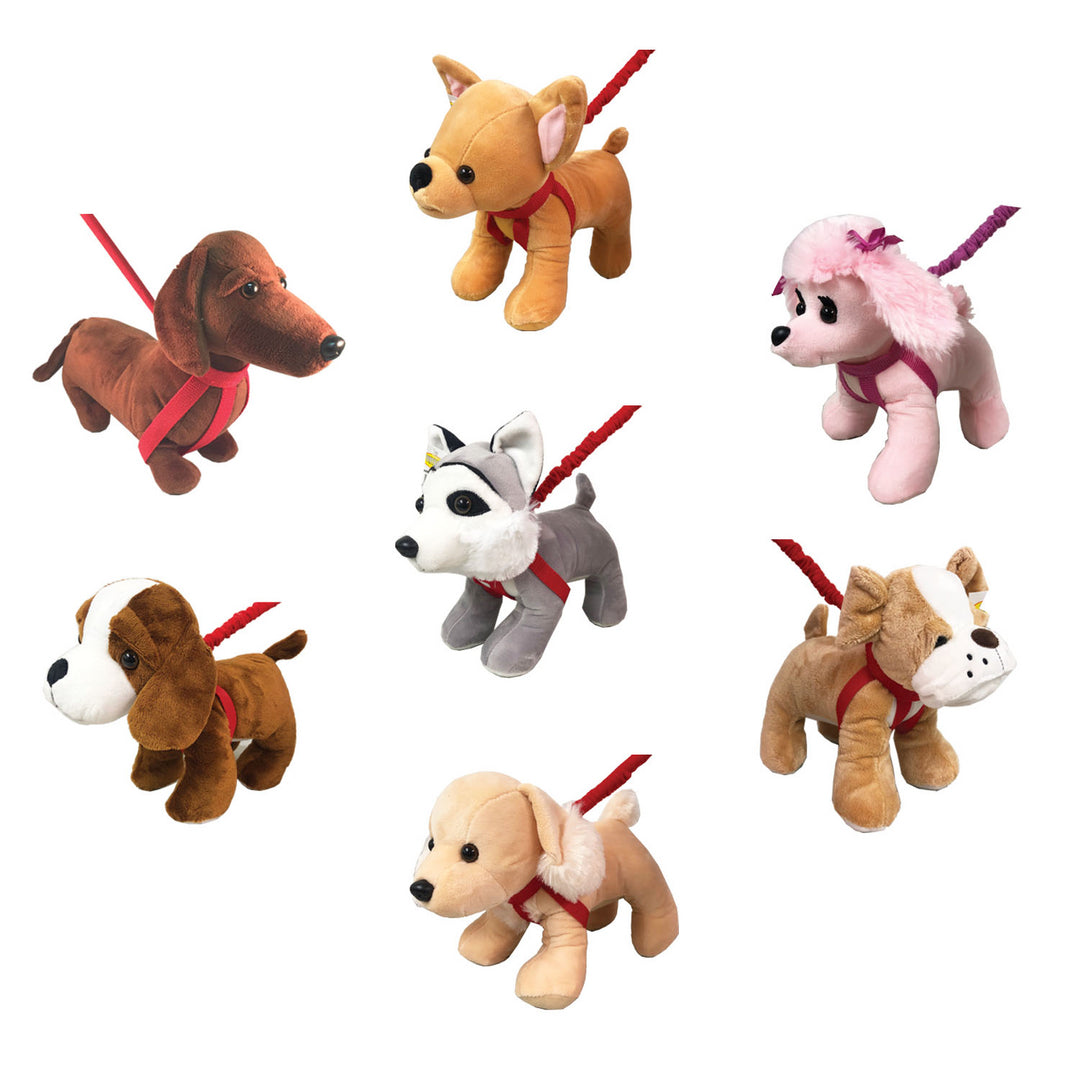DOGS ON A LEASH